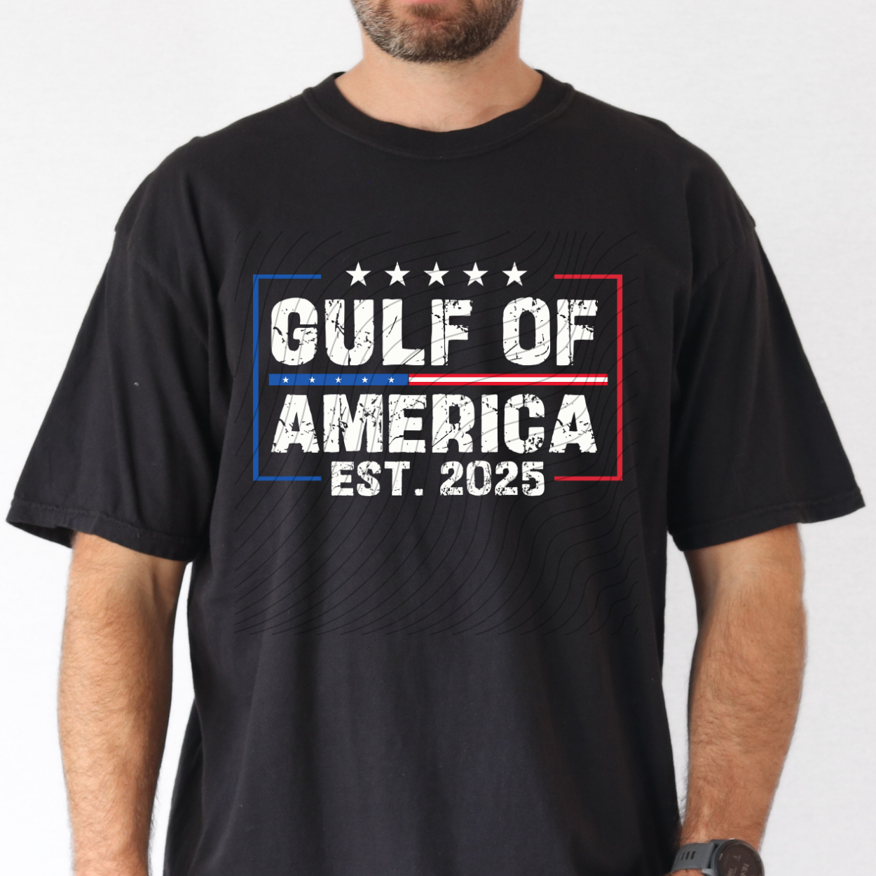 GULF OF AMERICA DISTRESSED - DTF TRANSFER