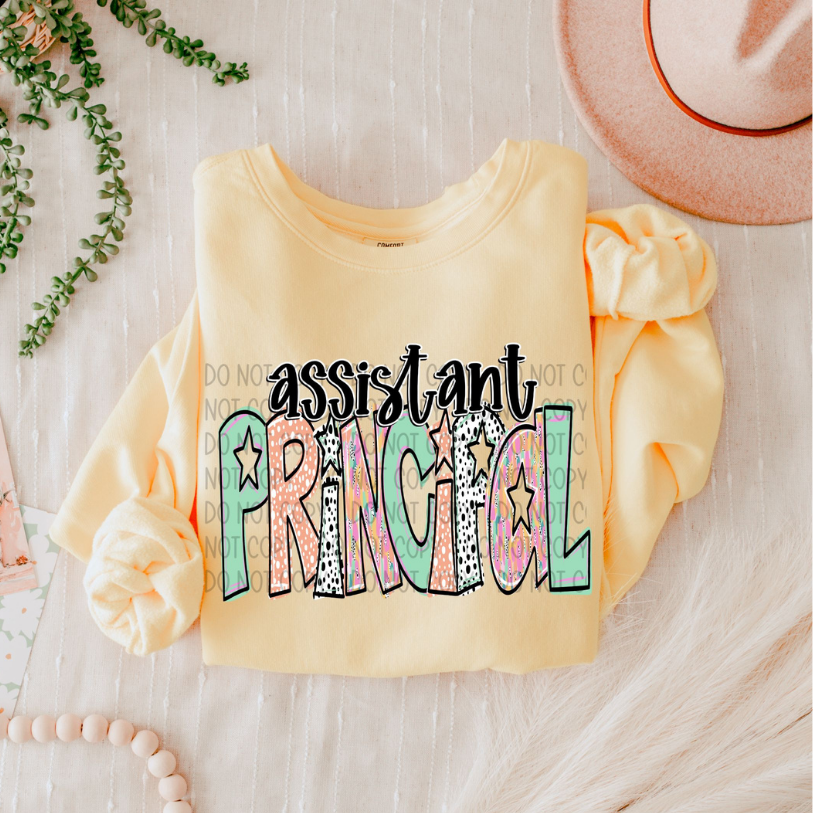 ASSISTANT PRINCIPAL - DTF TRANSFER