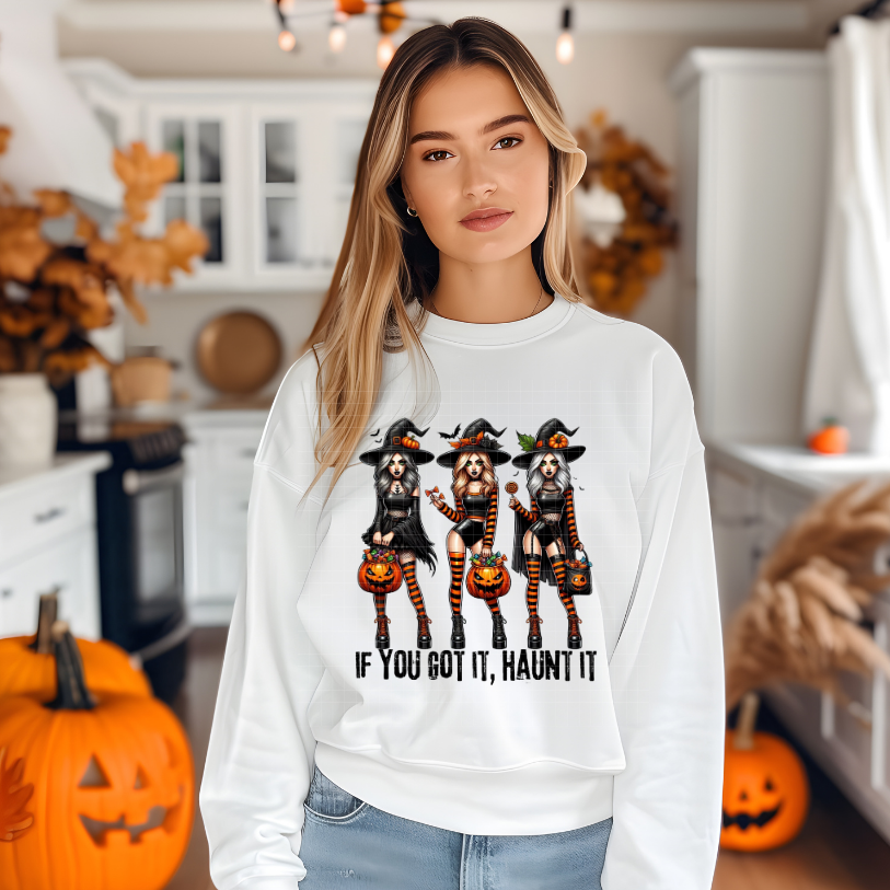 GOT IT, HAUNT IT BLK - DTF TRANSFER