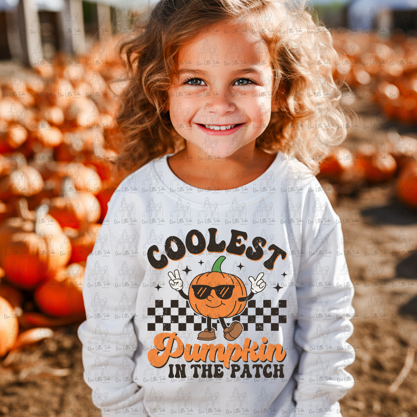 COOLEST PUMPKIN IN THE PATCH - DISTRESSED - DTF TRANSFER