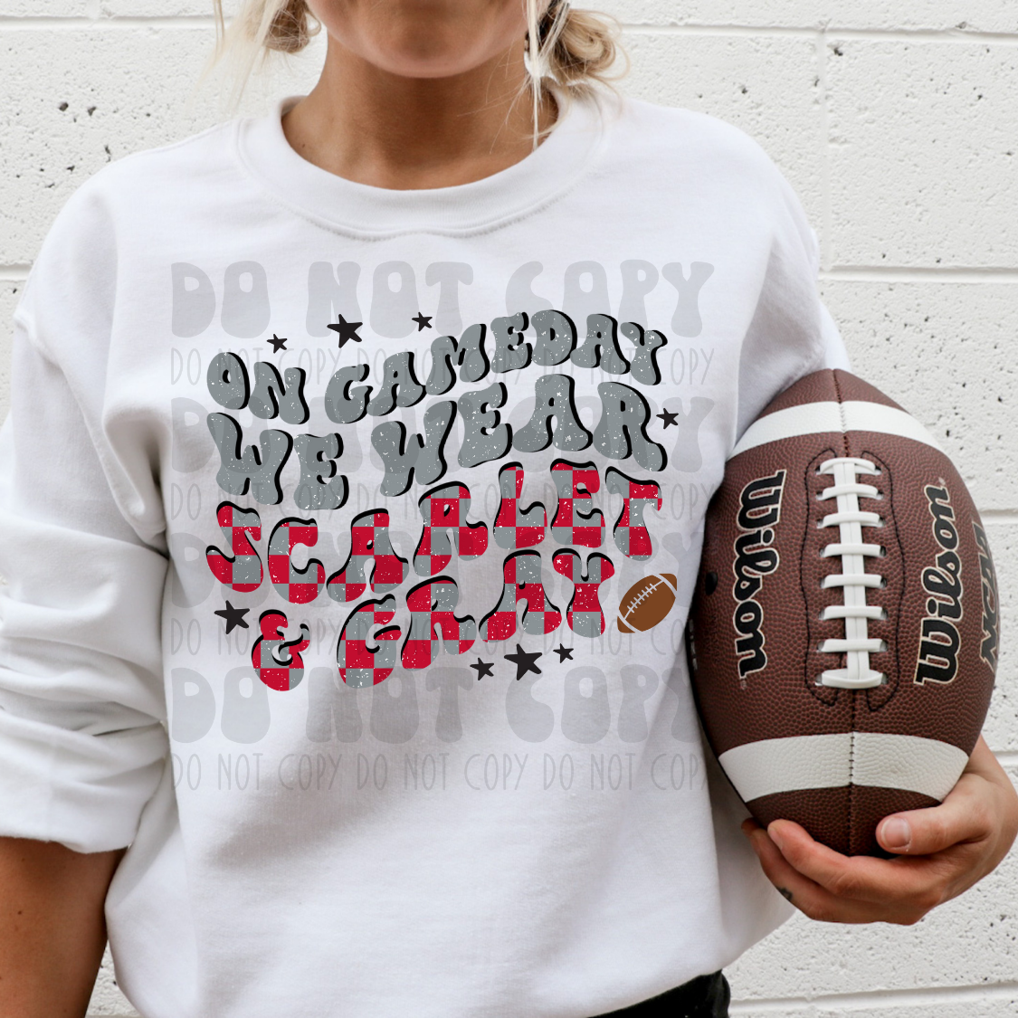 SCARLET AND GRAY - DTF TRANSFER