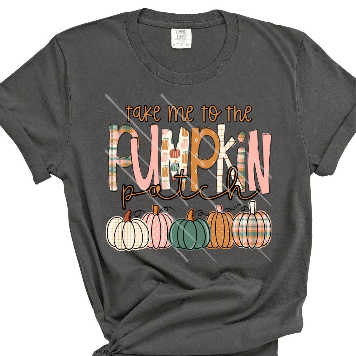 TAKE ME TO THE PUMPKIN PATCH - DTF TRANSFER