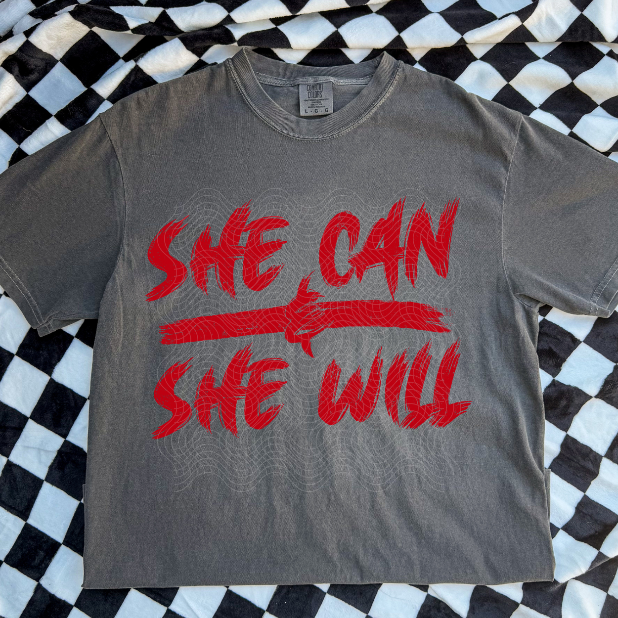 SHE CAN & SHE WILL - DTF TRANSFER
