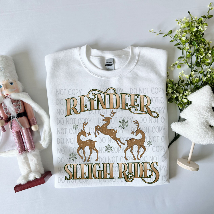 REINDEER SLEIGH RIDES - DTF TRANSFER