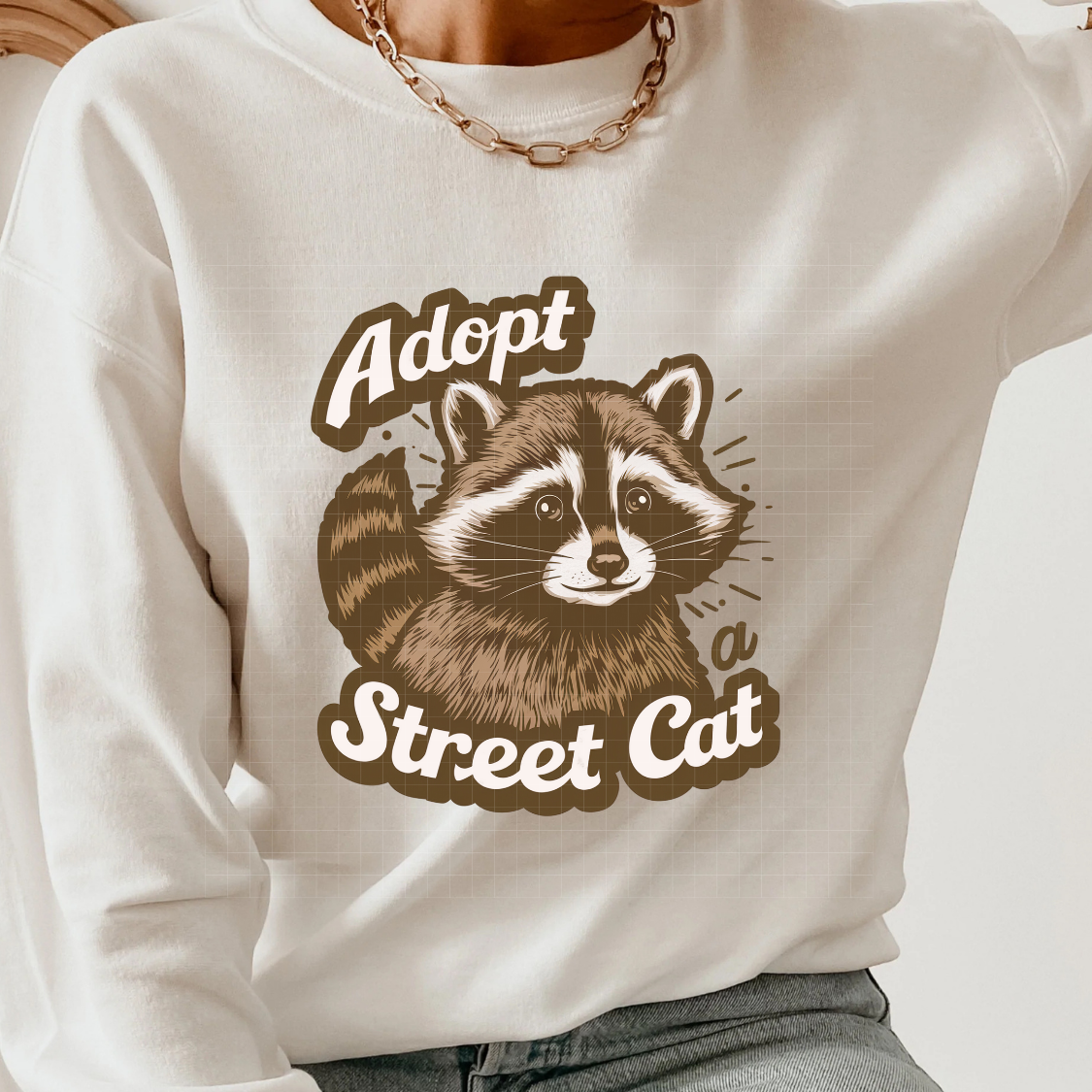 STREET CAT RACOON - DTF TRANSFER