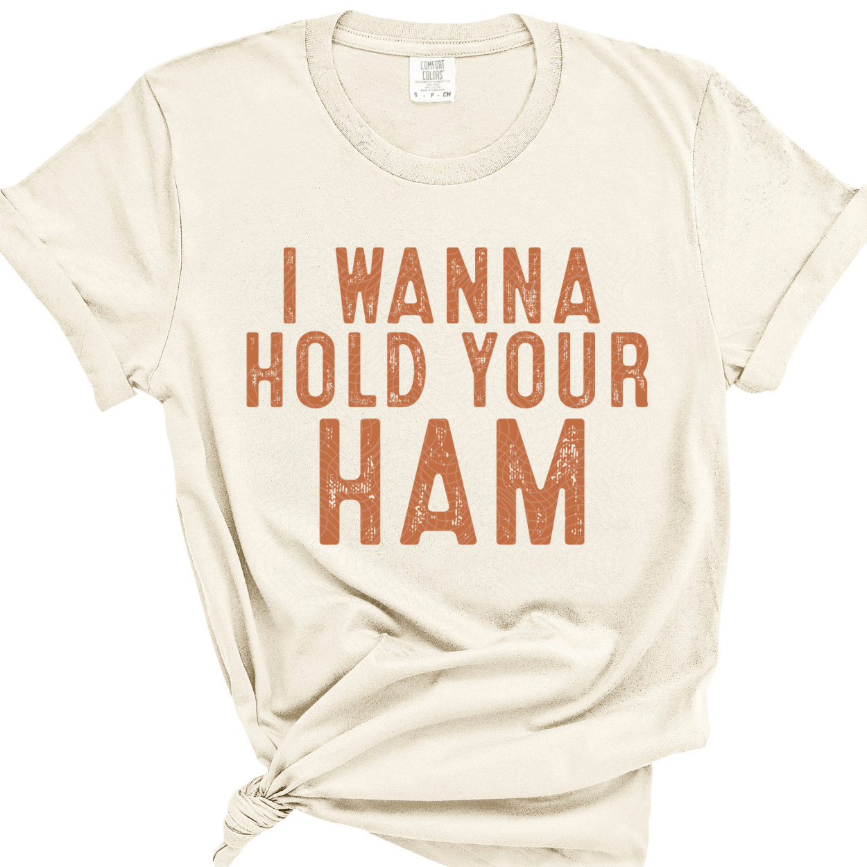 HOLD YOUR HAM - DTF TRANSFER