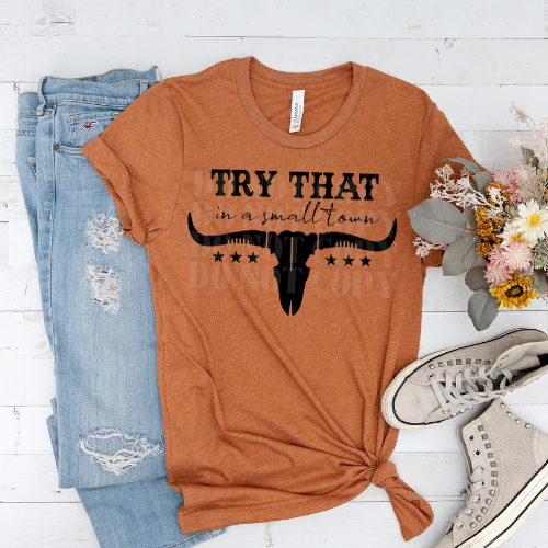 TRY THAT IN A SMALL TOWN BULL - DTF TRANSFER