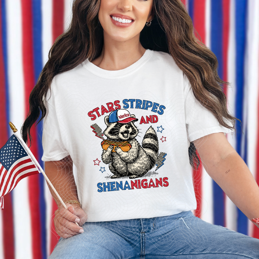 STARS STRIPES SHENANIGANS - DTF TRANSFER