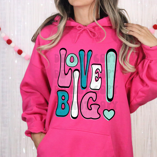 LOVE BIG PINK/TEAL GROOVY - DTF TRANSFER