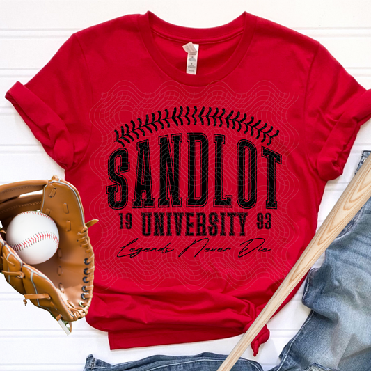BASEBALL UNIVERSITY - DTF TRANSFER