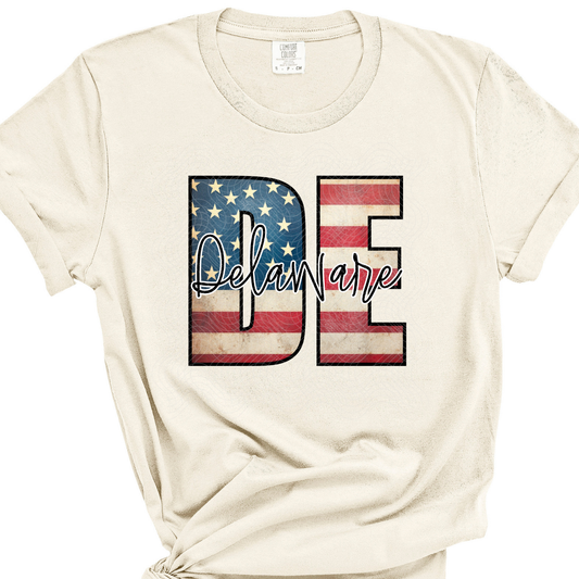 DELAWARE FLAG - DTF TRANSFER