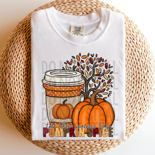 TIS THE SEASON FOR PUMPKIN SPICE - DTF TRANSFER