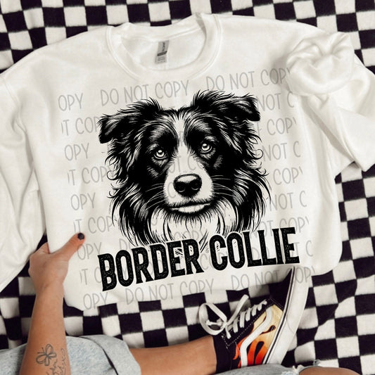 BORDER COLLIE DOG - DTF TRANSFER
