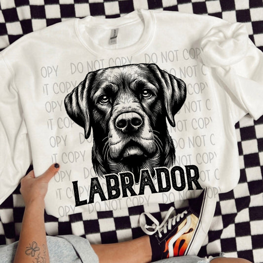 LABRADOR DOG - DTF TRANSFER