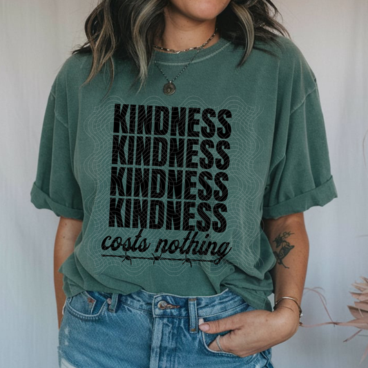 KINDNESS COSTS NOTHING - DTF TRANSFER