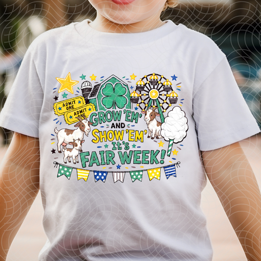 FAIR WEEK - DTF TRANSFER