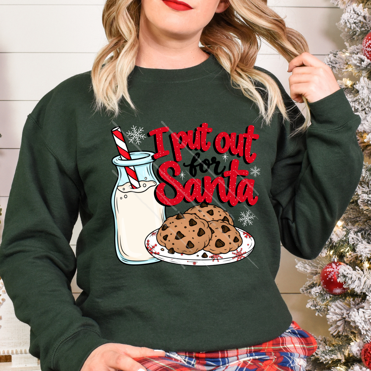 I PUT OUT FOR SANTA - DTF TRANSFER