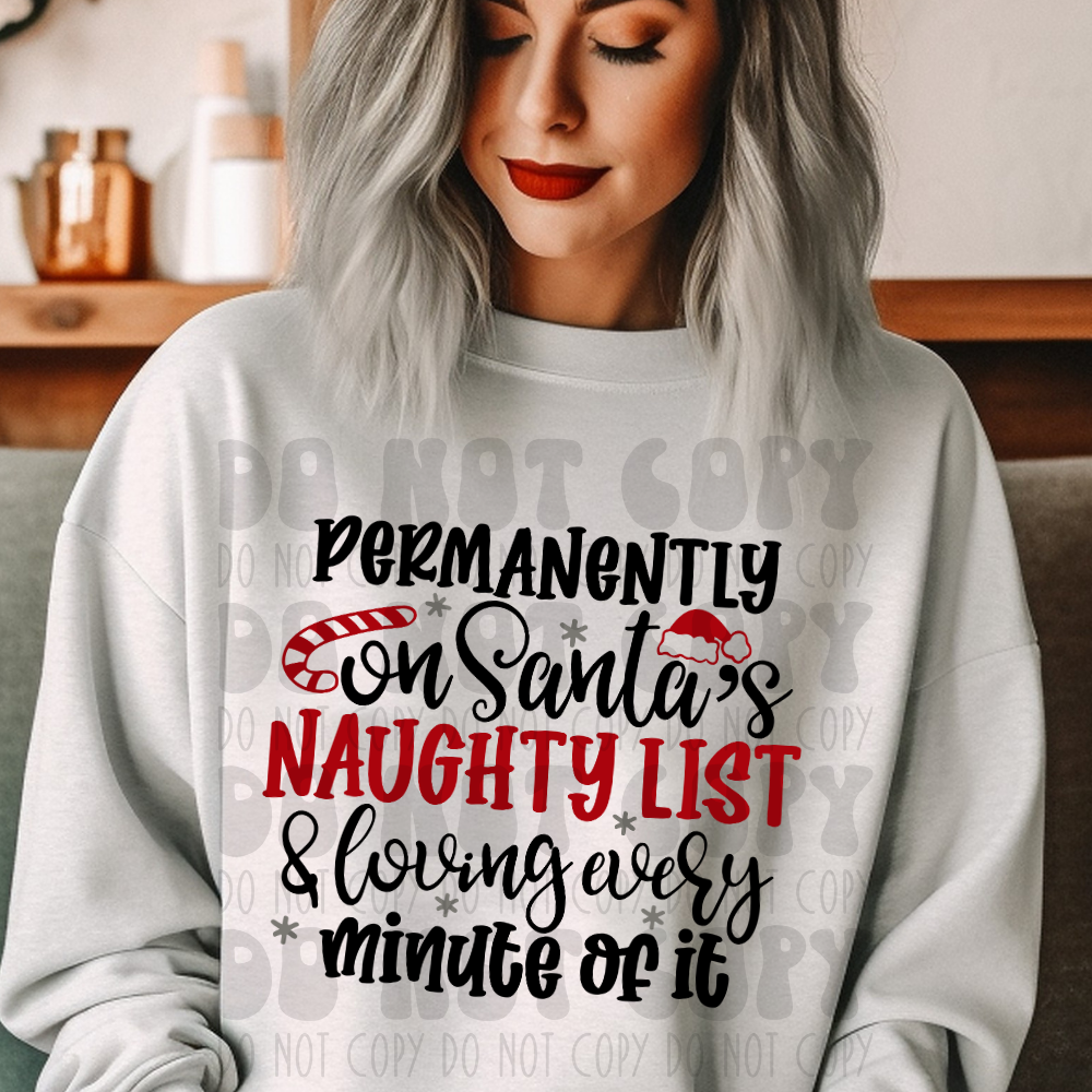 PERMANENT NAUGHTY LIST - DTF TRANSFER