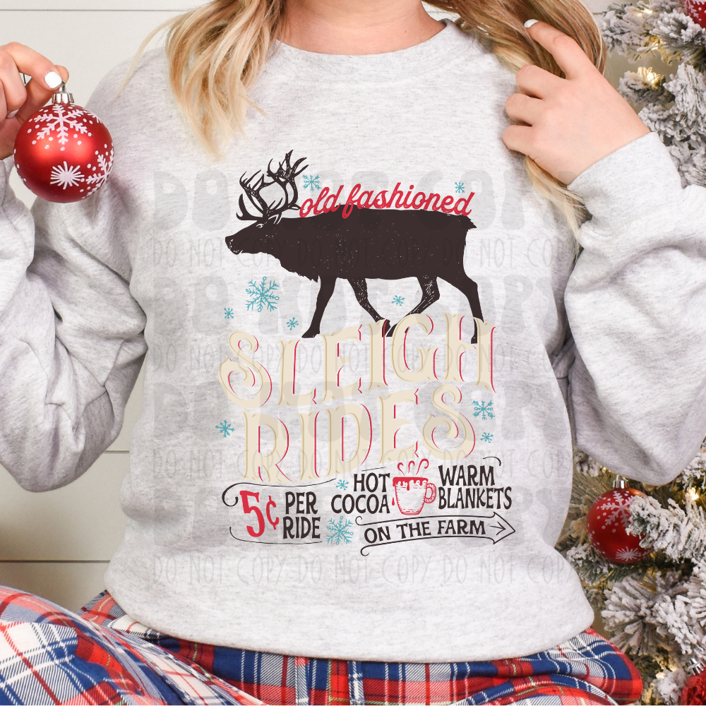 SLEIGH RIDES - DTF TRANSFER