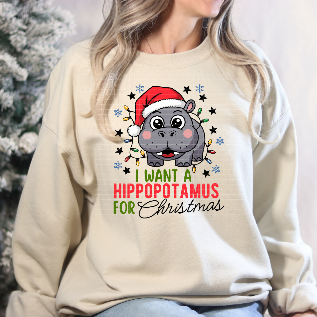 I WANT A HIPPO FOR CHRISTMAS - DTF TRANSFER