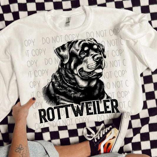 ROTTWEILER DOG - DTF TRANSFER