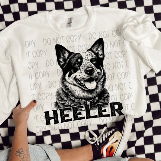 HEELER DOG - DTF TRANSFER