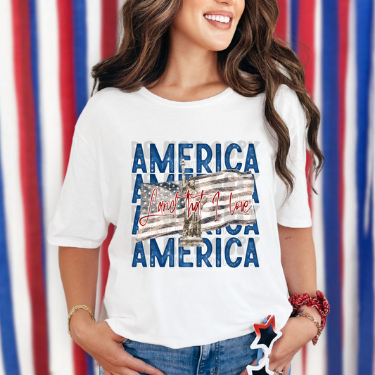 AMERICA STACKED LAND OF THE FREE - DTF TRANSFER