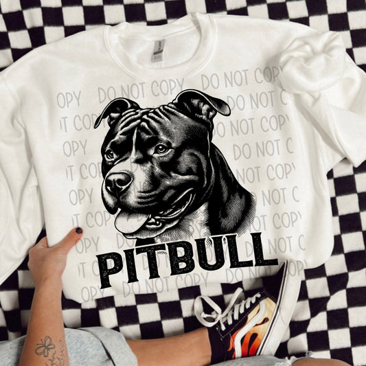 PITBULL DOG - DTF TRANSFER