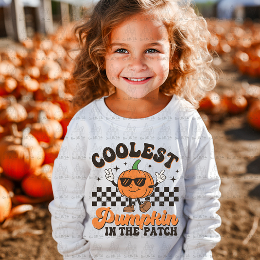 COOLEST PUMPKIN IN THE PATCH - DISTRESSED - DTF TRANSFER