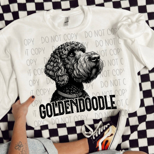 GOLDENDOODLE DOG - DTF TRANSFER