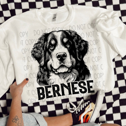 BERNESE DOG - DTF TRANSFER