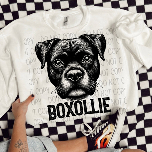 BOXOLLIE DOG - DTF TRANSFER