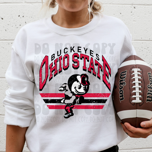 BUCKEYE STRIPE 2 - DTF TRANSFER