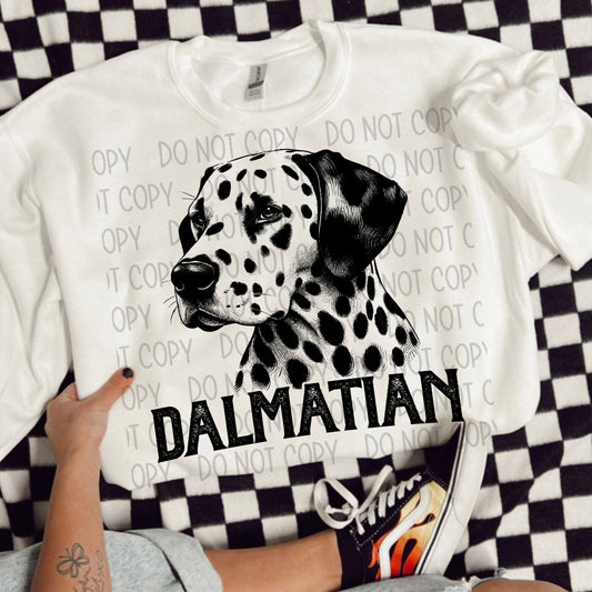 DALMATIAN DOG - DTF TRANSFER