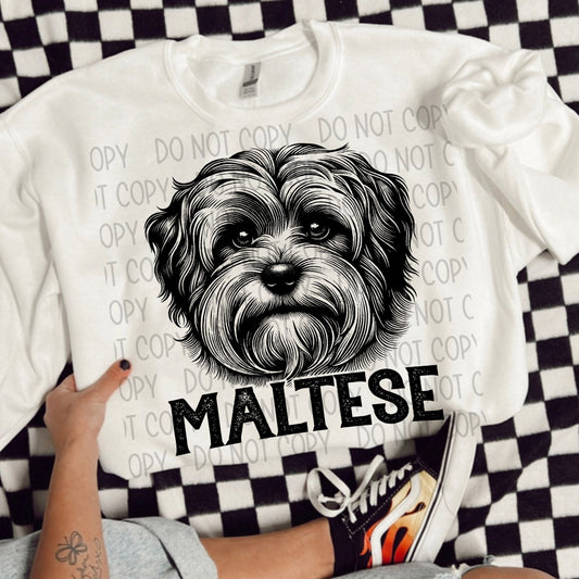 MALTESE DOG - DTF TRANSFER