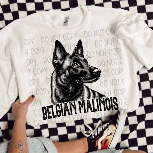BELGIAN MALINOIS DOG - DTF TRANSFER