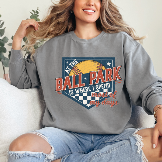 BALL PARK SOFTBALL - DTF TRANSFER