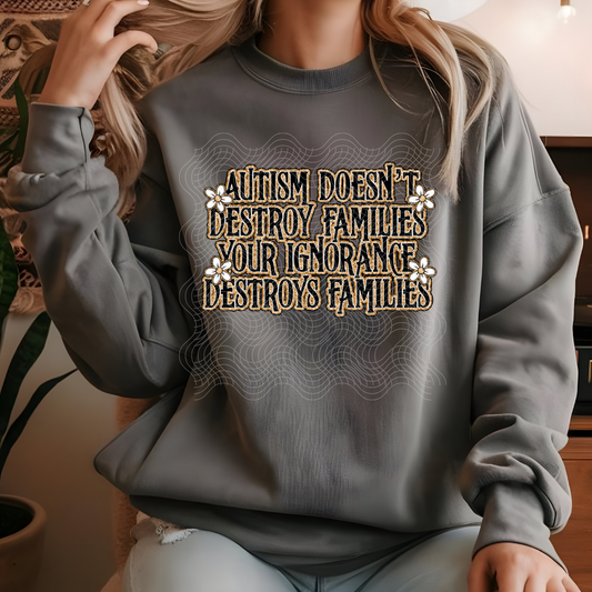 DOESN'T DESTROY FAMILIES - DTF TRANSFER
