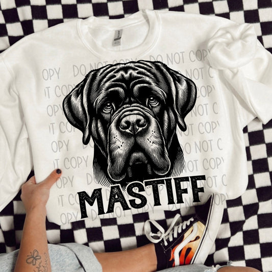 MASTIFF DOG - DTF TRANSFER