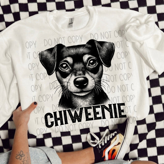 CHIWEENIE DOG - DTF TRANSFER