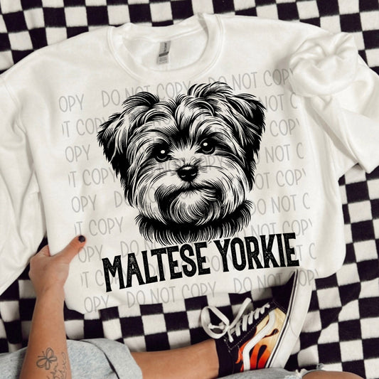 MALTESE YORKIE DOG - DTF TRANSFER