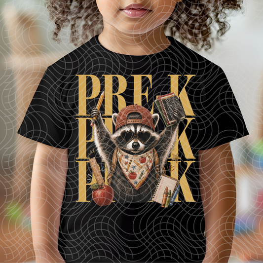 PRE K RACCOON - DTF TRANSFER