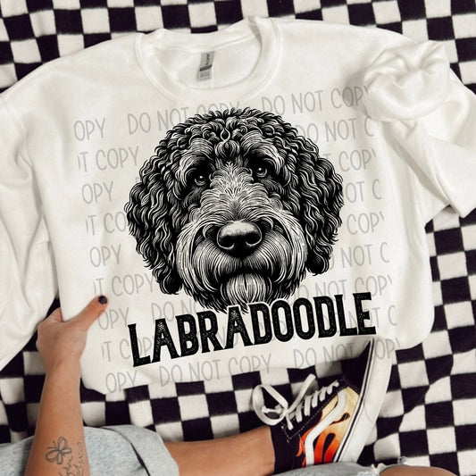 LABRADOODLE DOG - DTF TRANSFER