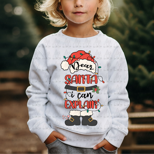 SANTA I CAN EXPLAIN - DTF TRANSFER