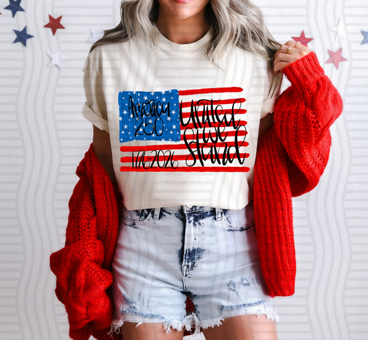 AMERICA 250 BLACK - DTF TRANSFER