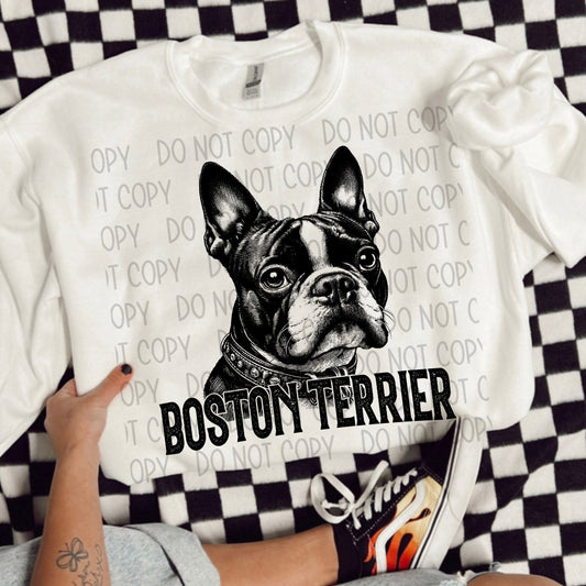 BOSTON TERRIER DOG - DTF TRANSFER