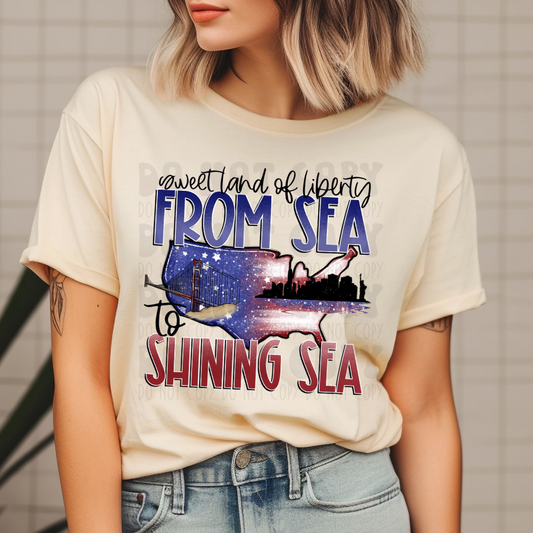 FROM SEA TO SHINING SEA - DTF TRANSFER