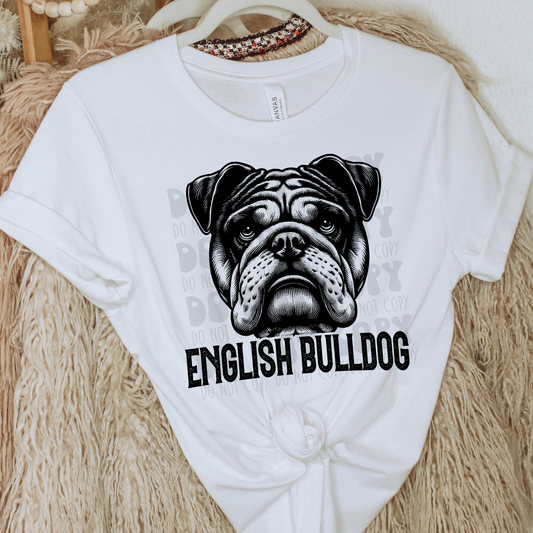 ENGLISH BULLDOG DOG - DTF TRANSFER