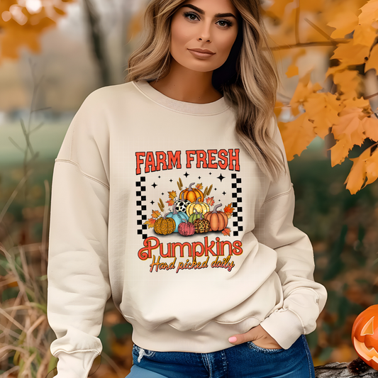 PATTERNED PUMPKINS FARM FRESH - DTF TRANSFER