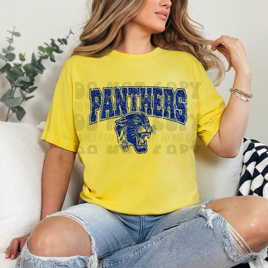 PANTHERS VARSITY DISTRESSED MASCOT - DTF TRANSFER